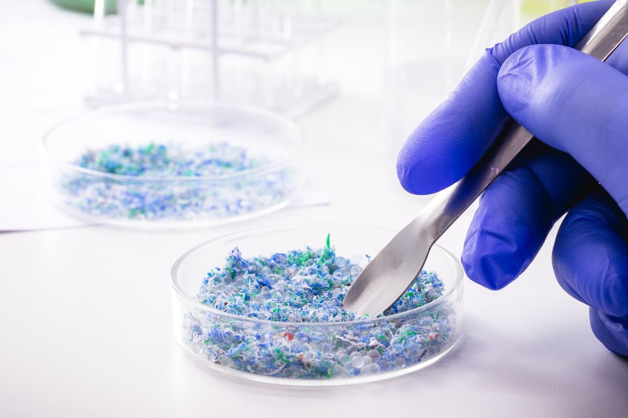 Chemical Processing & Synthesis